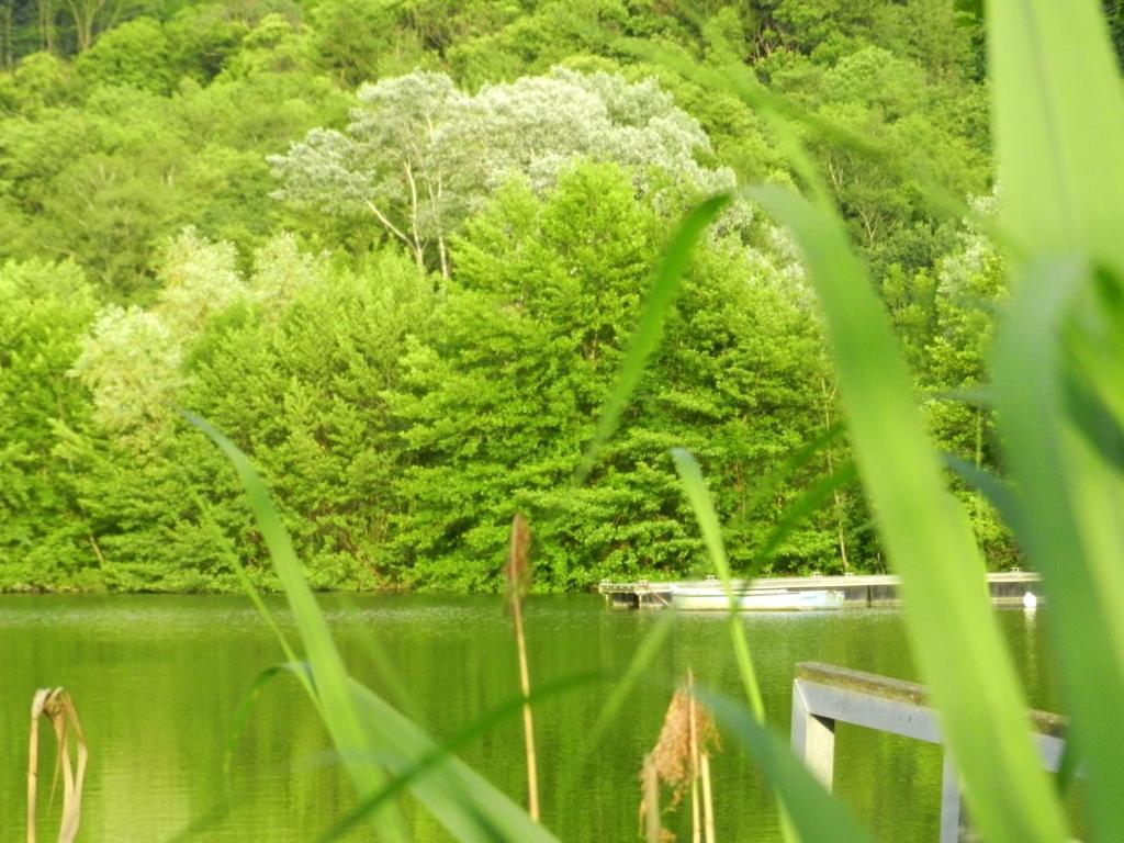 乐斯普拉坦斯吉特公寓 Sainte-Helene-du-Lac 外观 照片